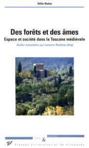 Des forêts et des âmes